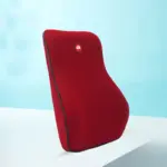 Cojín ergonómico para la espalda para viajes largos