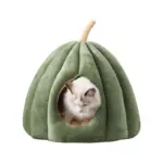 Cojín de calabaza con gato