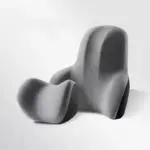 Cojín de coche para el dolor de espalda