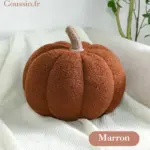 Cojín de calabaza marrón