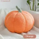 Cojín de calabaza naranja