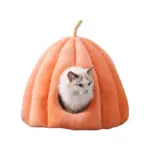 Cojín de calabaza con gato